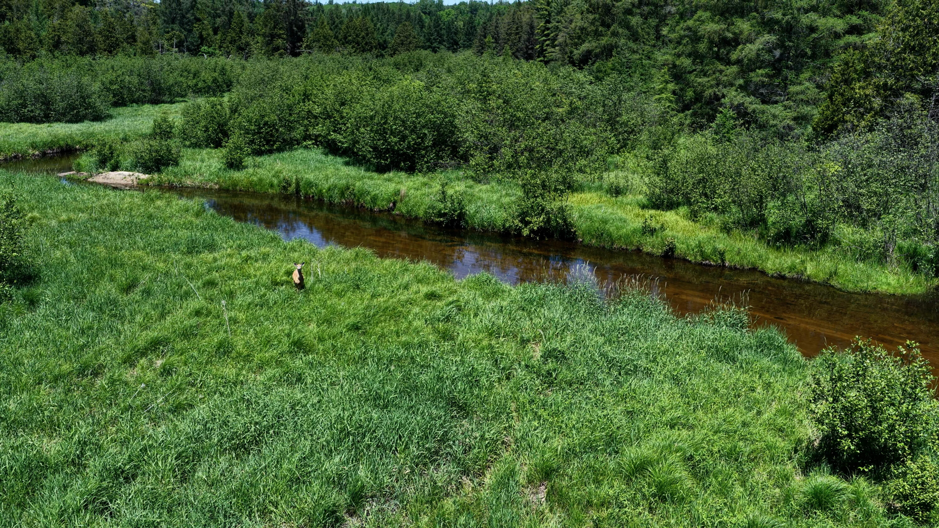 17274 Wilson Road Big Rapids, MI 49307 - Photo 47 of 51 DJI_20260608054318_0075_D.00_28_05_58.St