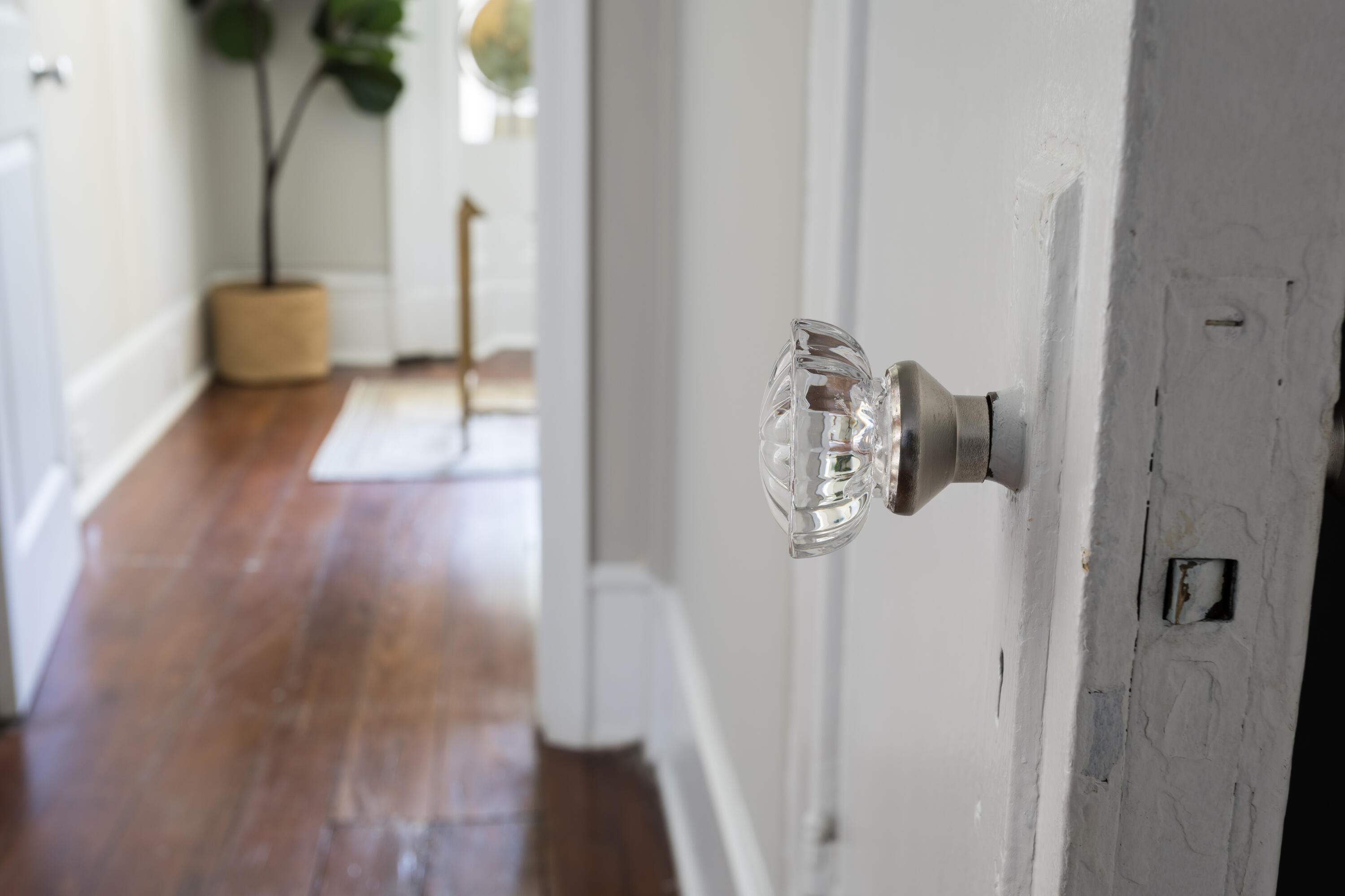 12 Bee Street, Unit B Charleston, SC 29403 - Photo 32 of 35 12 Bee St (20)