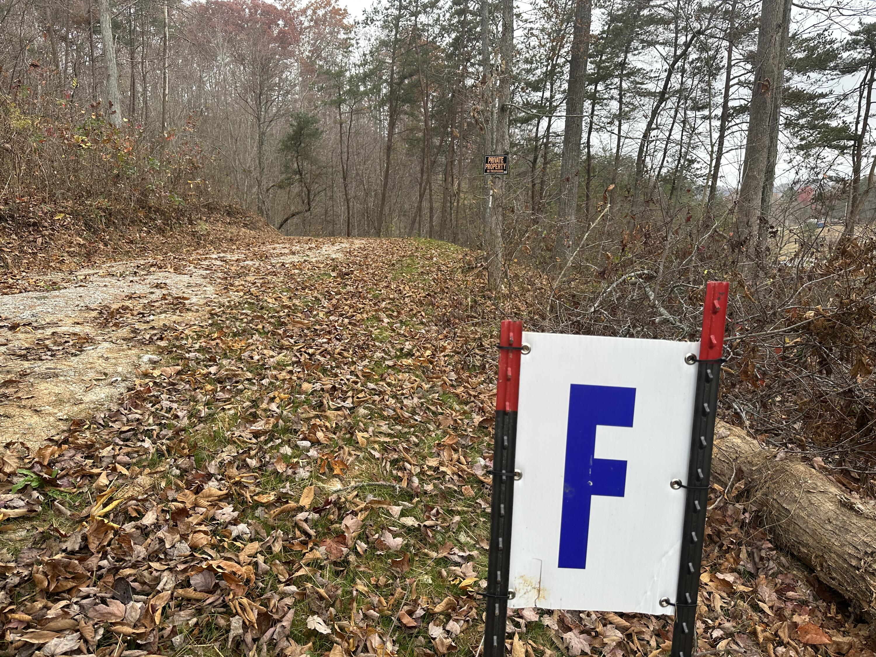 F Freeman Branch Road East Bernstadt, KY 40729 - Photo 1 of 19 IMG_0437