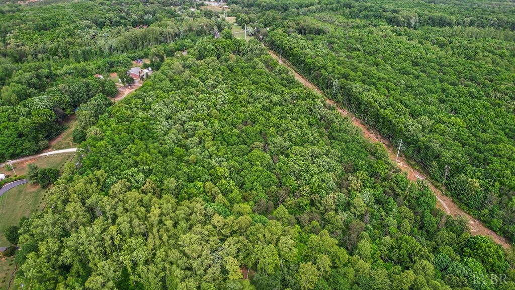 0 South Coolwell Road Madison Heights, VA 24572 - Photo 10 of 15