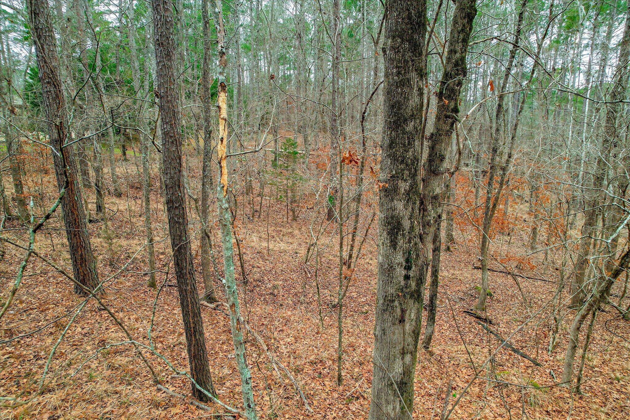 Lot K-18 Lot K-18 Collin Reeds Road Edgefield, SC 29824 - Photo 5 of 24