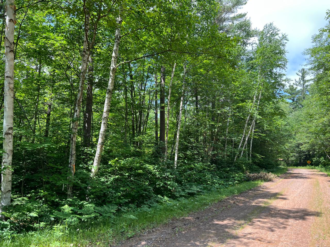 On Maple Stone Road Minocqua, WI 54548 - Photo 1 of 8 Gallery Image 1