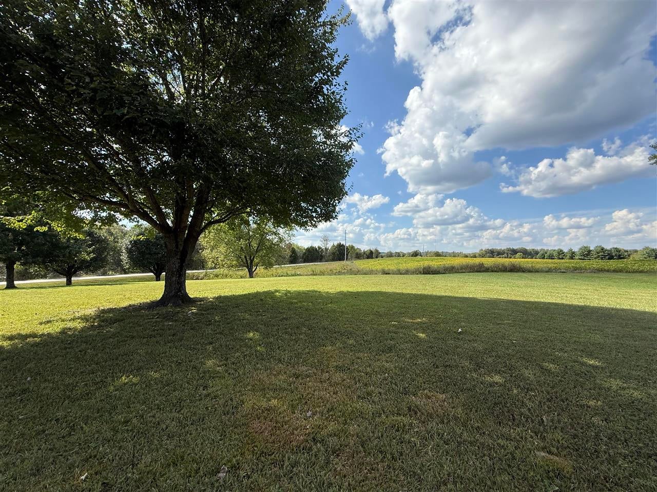 910 Clifty Hollow Road Bowling Green, KY 42101 - Photo 44 of 68 Gallery Image 44