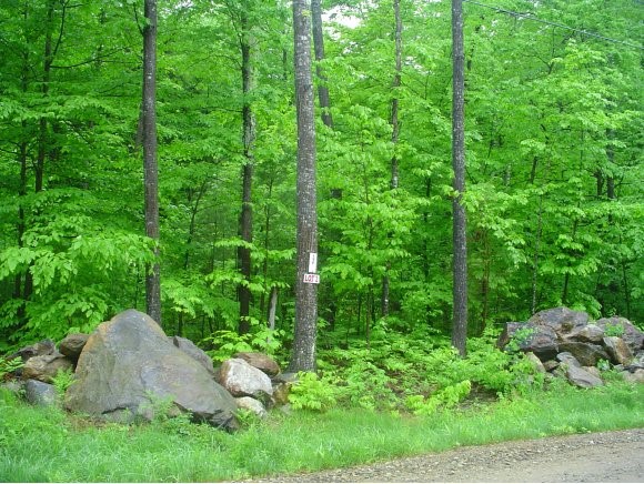 2 Mountain Road Sanbornton, NH 03269 - Photo 1 of 1
