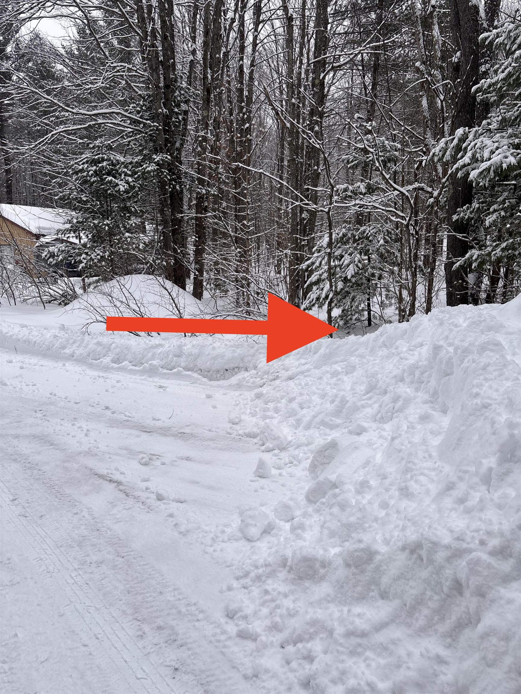 Vl 23 Lake Louise Road Interlochen, MI 49643 - Photo 4 of 9