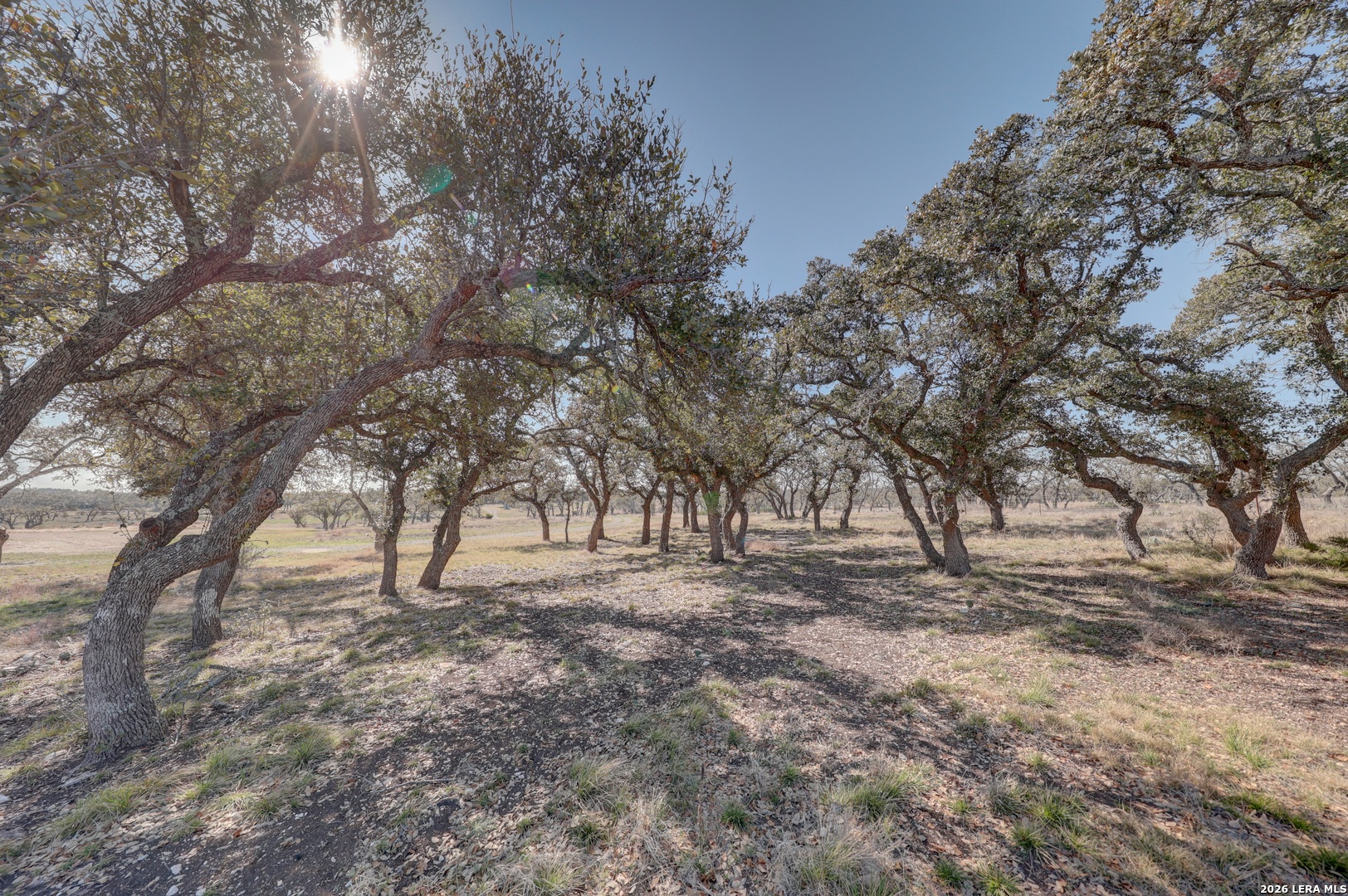200 Mosel Road Harper, TX 78631 - Photo 25 of 41