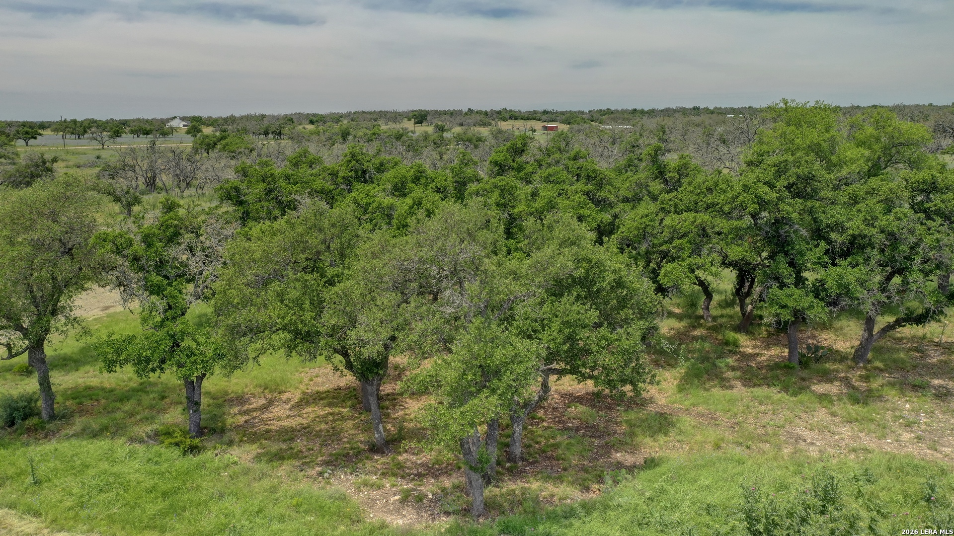 200 Mosel Road Harper, TX 78631 - Photo 26 of 50