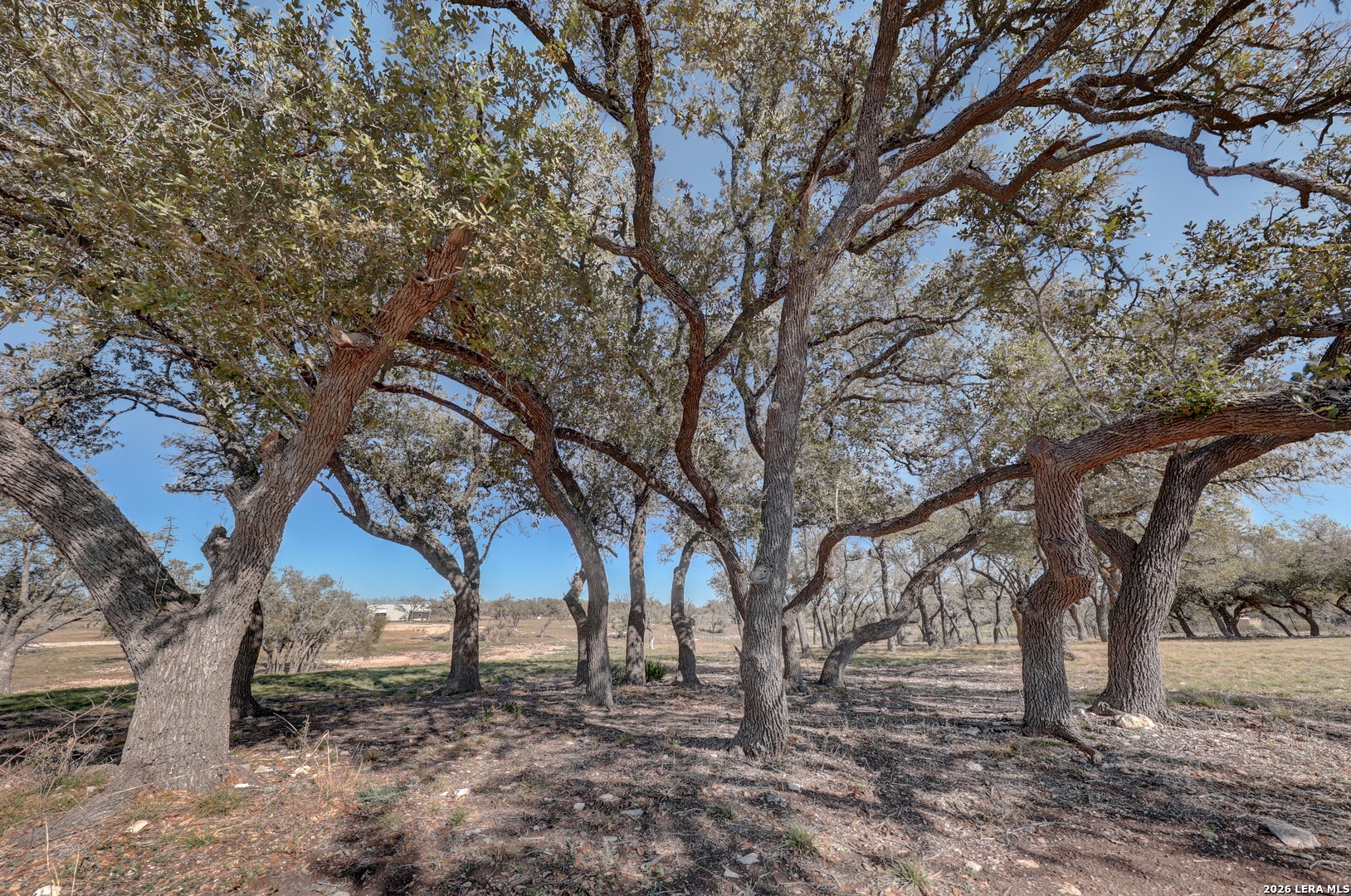 200 Mosel Road Harper, TX 78631 - Photo 27 of 41