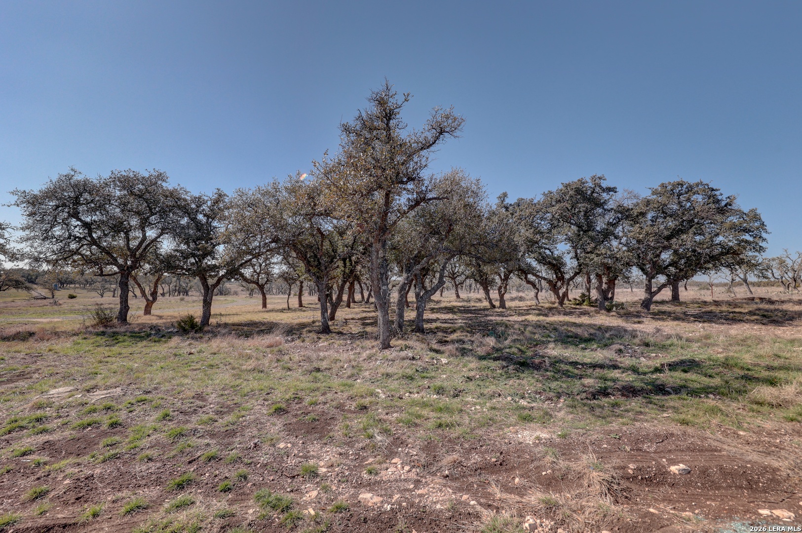 200 Mosel Road Harper, TX 78631 - Photo 33 of 50