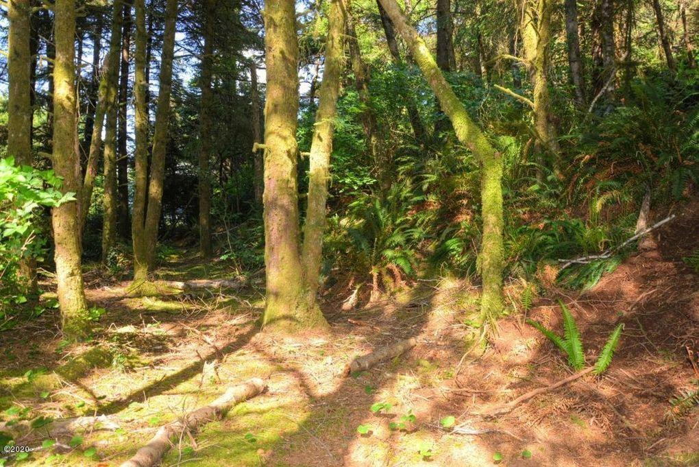 1201 Northeast East Line Road Yachats, OR 97498 - Photo 4 of 10 land1