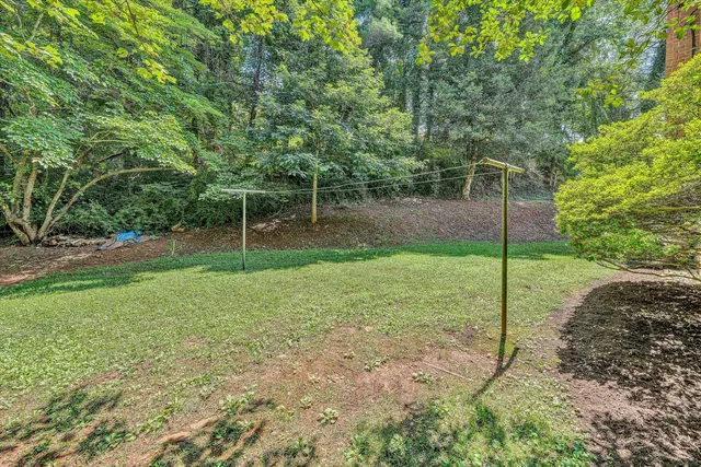 a backyard of a house with plants and large trees