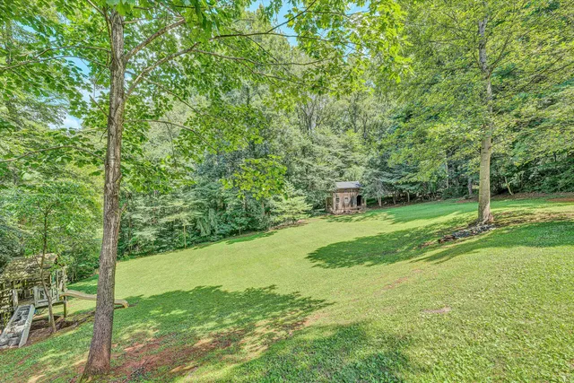 a view of a field with a tree