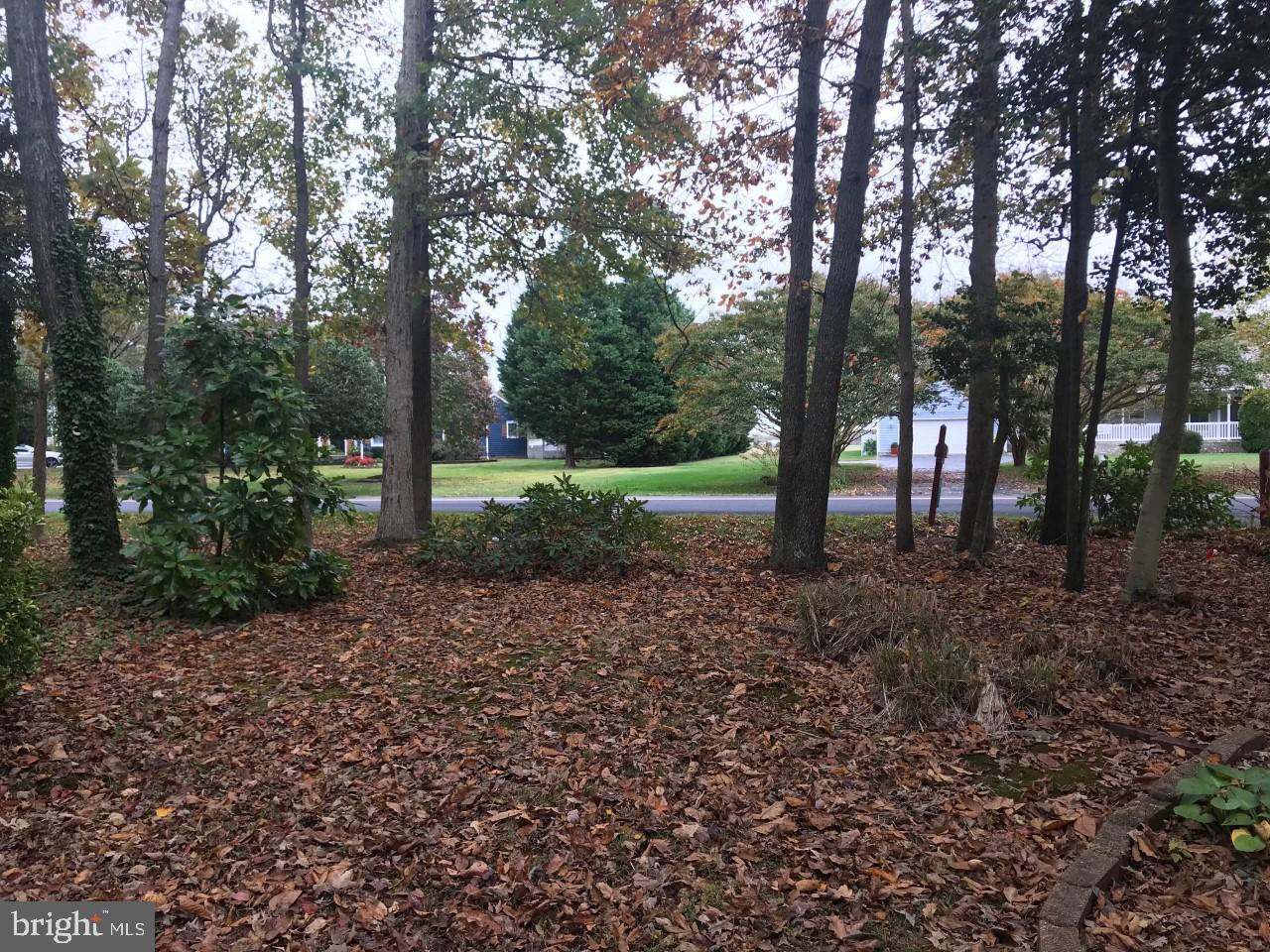 15376 Hudson Road Milton, DE 19968 - Photo 11 of 67 Gallery Image 11