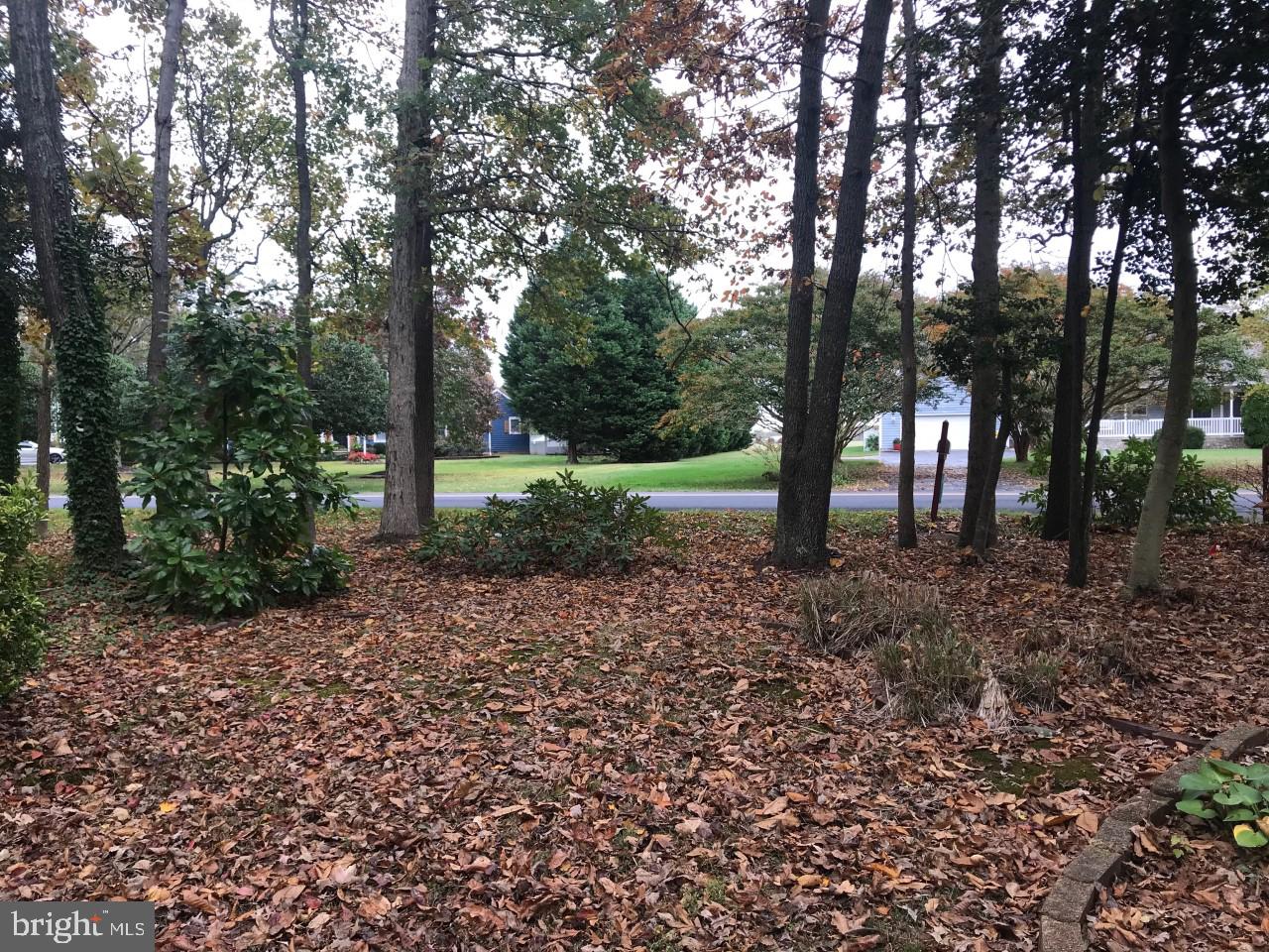 15376 Hudson Road Milton, DE 19968 - Photo 12 of 67 Gallery Image 12