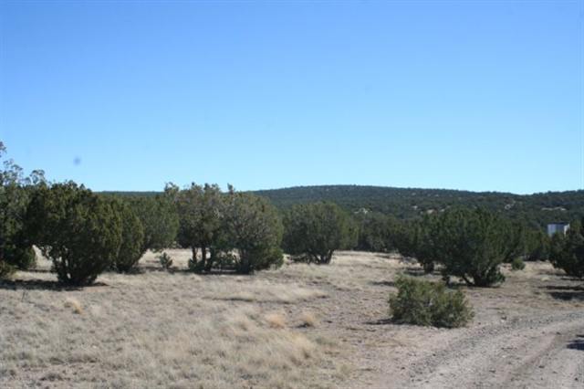 106 Tamarron Ranch Concho, AZ 85924 - Photo 1 of 5