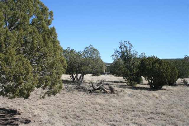 106 Tamarron Ranch Concho, AZ 85924 - Photo 2 of 5