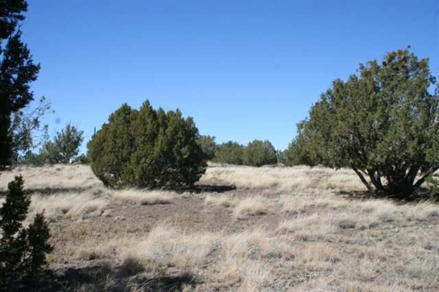 106 Tamarron Ranch Concho, AZ 85924 - Photo 3 of 5