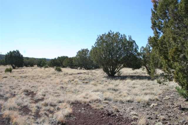 106 Tamarron Ranch Concho, AZ 85924 - Photo 4 of 5