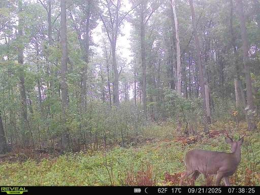 Xxx Fleming Logging Road Hinckley, MN 55037 - Photo 2 of 8