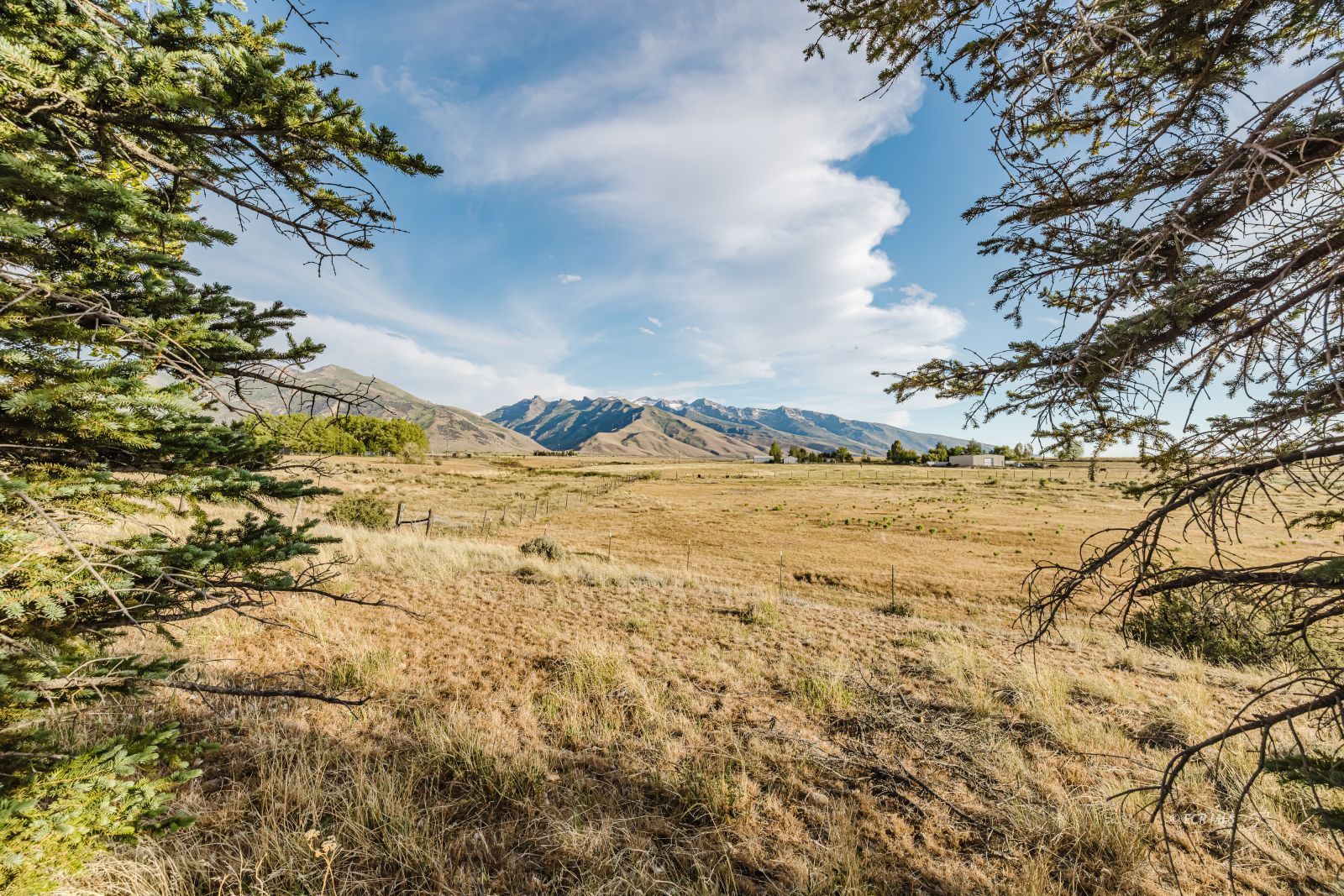2611 North Canyon Road Lamoille, NV 89828 - Photo 42 of 50