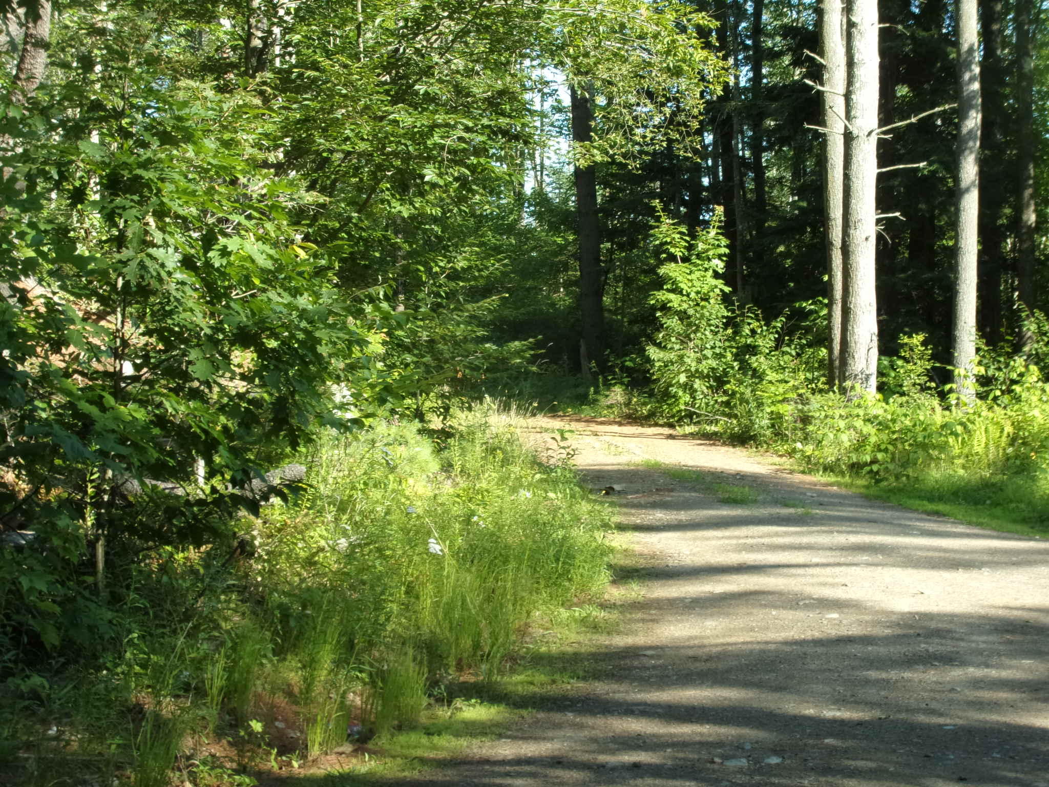 167 A Pitcher Road Belfast, ME 04915 - Photo 2 of 26 103_2590