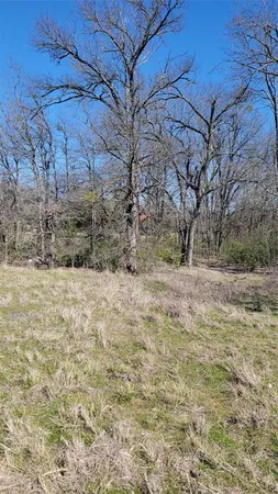 a view of large yard