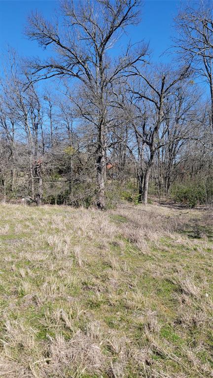 655 Ewing Road Ferris, TX 75125 - Photo 3 of 11 a view of large yard