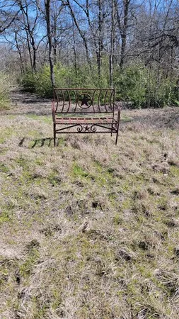 a view of a tree with a park