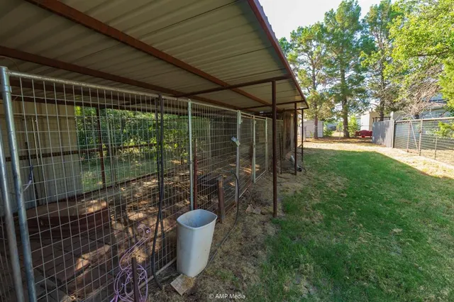 a view of backyard with a large tree and wooden fence