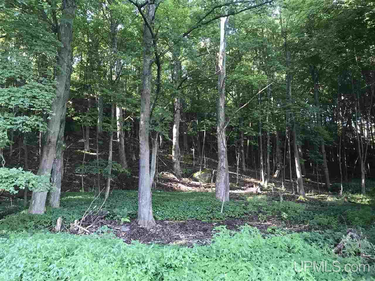 170 Bluff Street Ishpeming, MI 49849 - Photo 28 of 30