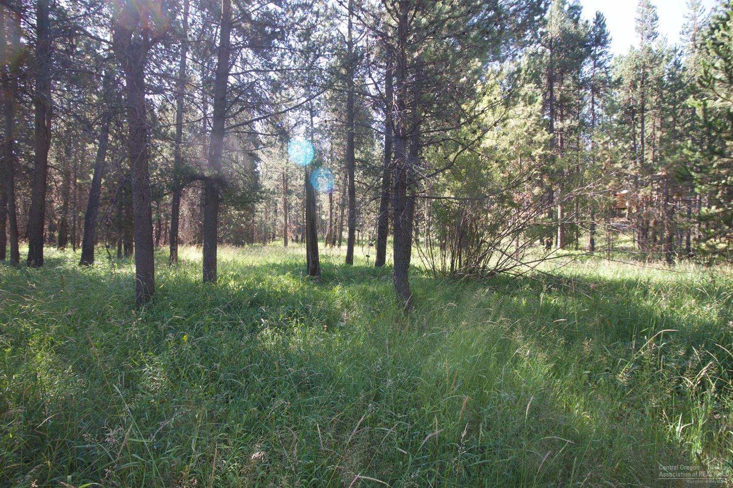16853 Hermosa Road Bend, OR 97707 - Photo 1 of 9 a big yard with lots of green space and trees