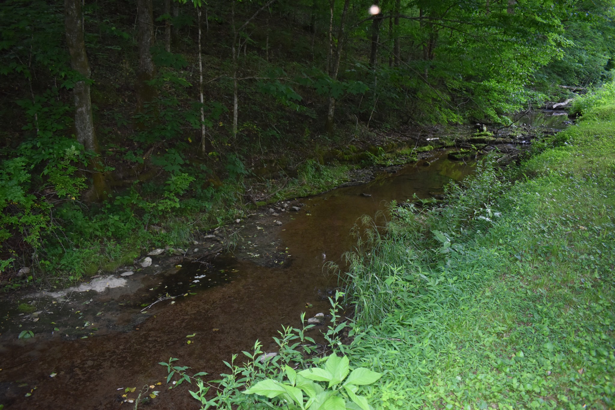86 Dog Branch Road Pleasant Shade, TN 37145 - Photo 10 of 24