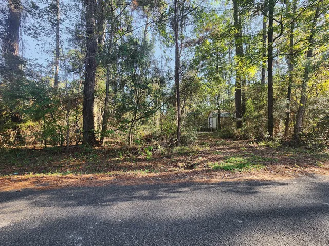 a view of a yard with large trees