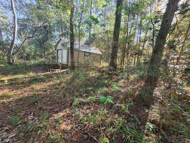 a view of a tree in the middle of a yard