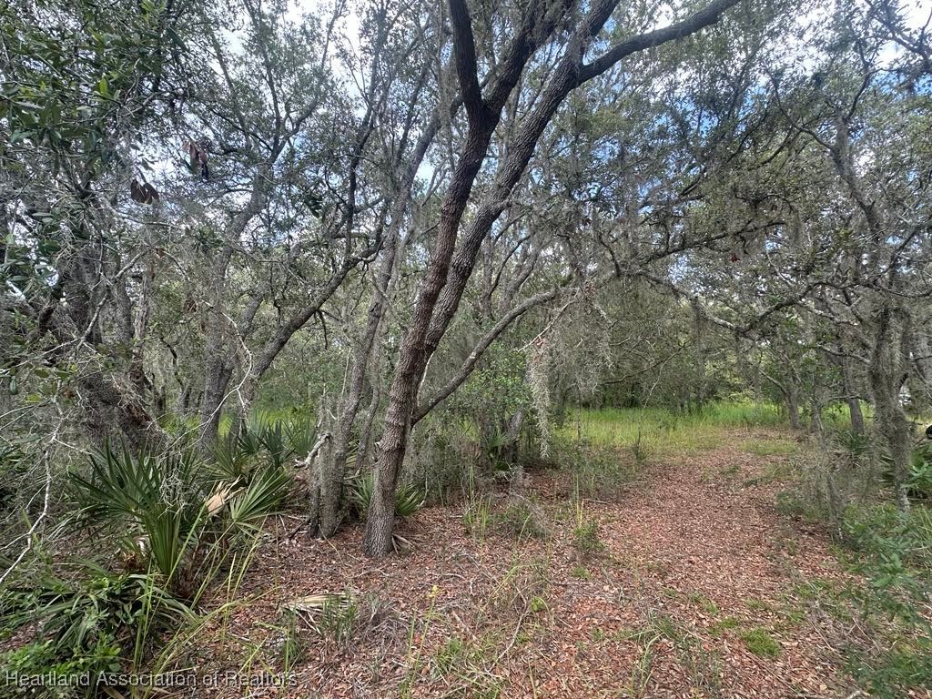3064 Ryder Road Avon Park, FL 33825 - Photo 2 of 7 Gallery Image 2
