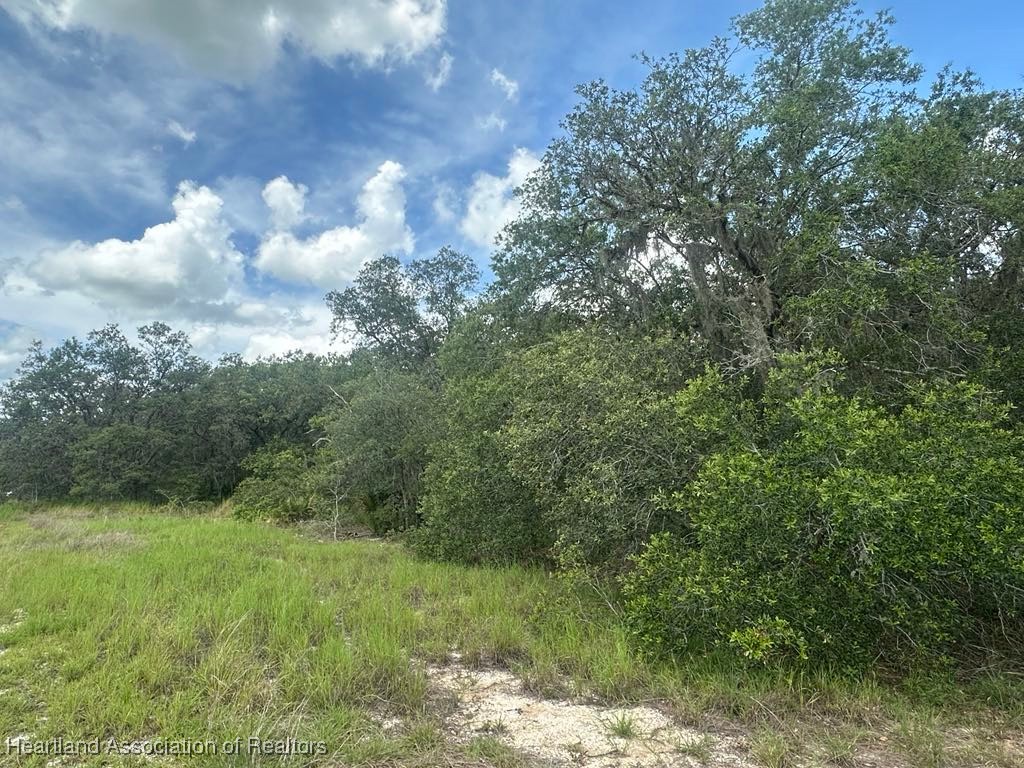 3064 Ryder Road Avon Park, FL 33825 - Photo 5 of 7 Gallery Image 5