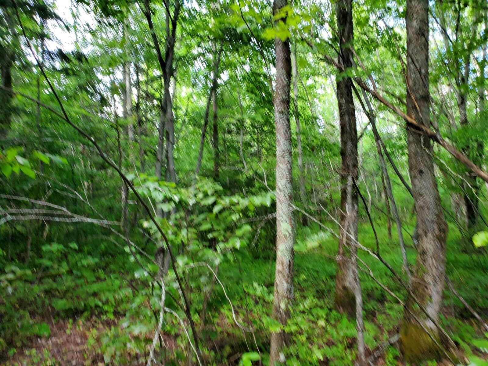 Off Mill Street Kingman, ME 04451 - Photo 7 of 13 20210903_160528
