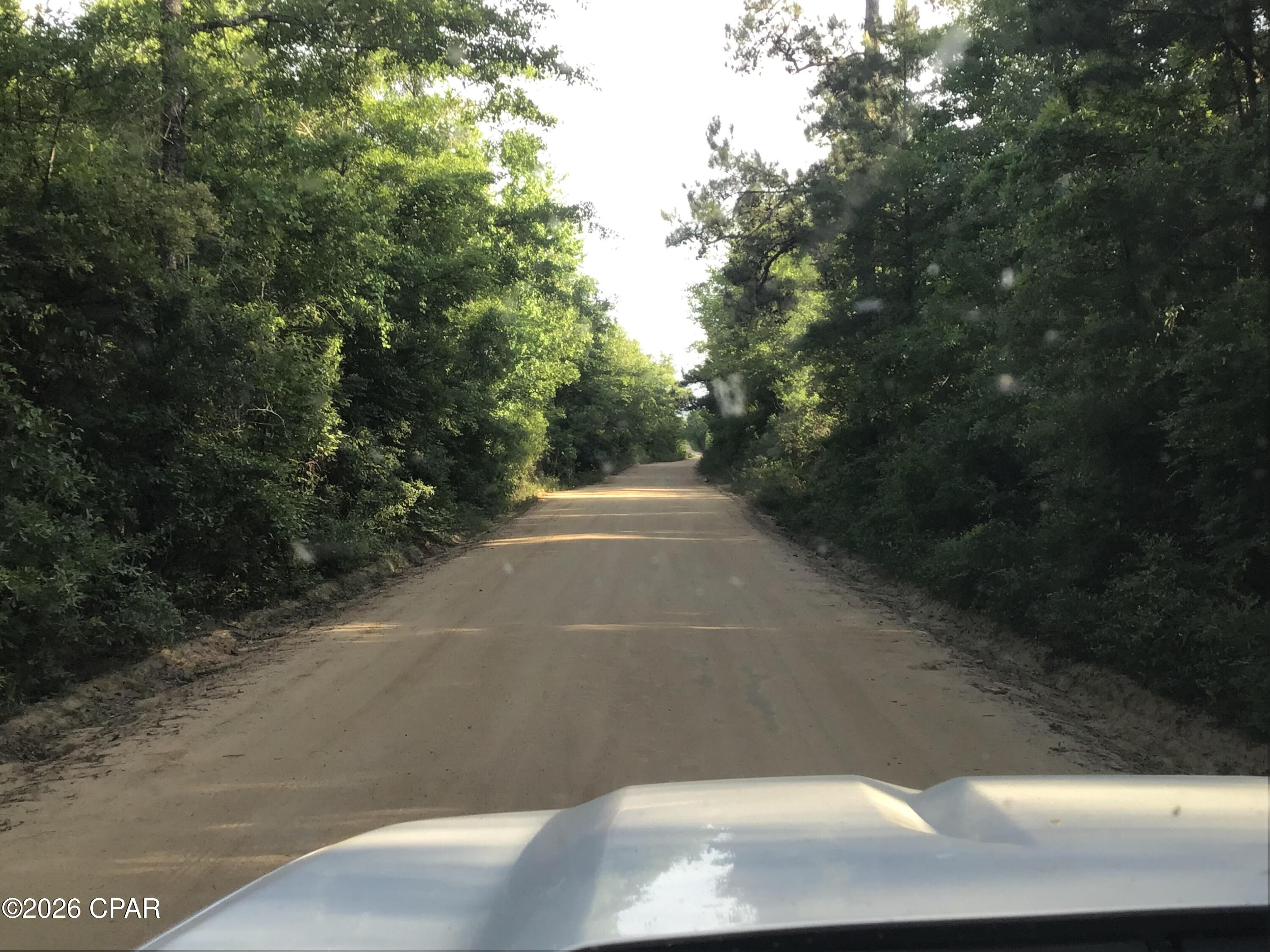 0 Little Zion Road Sneads, FL 32460 - Photo 12 of 13