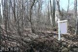 Hurd Road South Aurora, OH 44202 - Photo 1 of 1 Lot 55 Hurd Rd. Club Section Aurora .44 Ac.- 85'x277'x49'x266' All city utilities available.