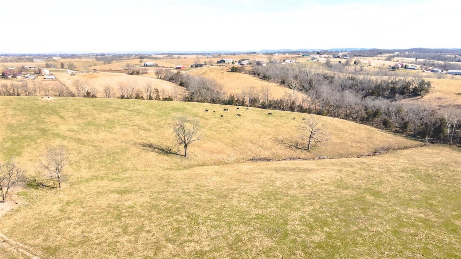 1837 Perry Rogers Road Lancaster, KY 40444 - Photo 40 of 61 Photo 40