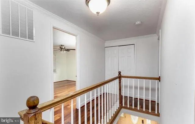 a view of a hallway with windows