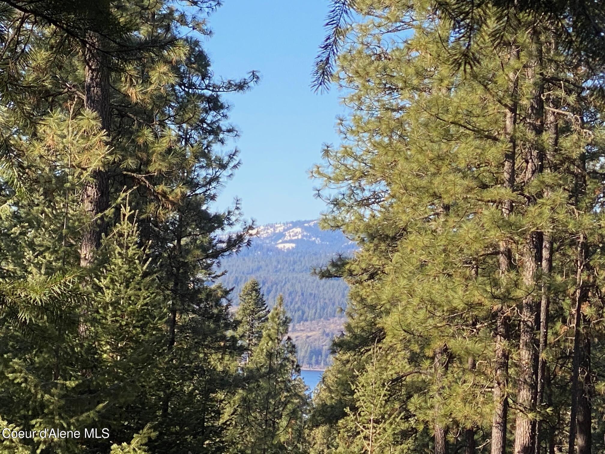 Nka South Edgewater Drive Harrison, ID 83833 - Photo 11 of 31 IMG_6907