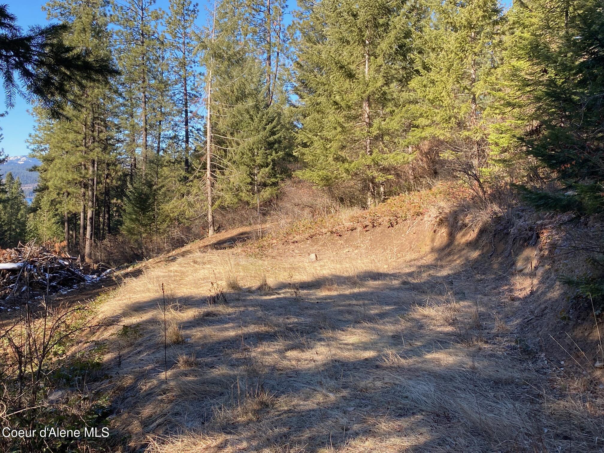 Nka South Edgewater Drive Harrison, ID 83833 - Photo 12 of 31 IMG_6908