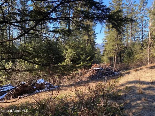 $109,000 | Nka South Edgewater Drive, Harrison, ID 83833