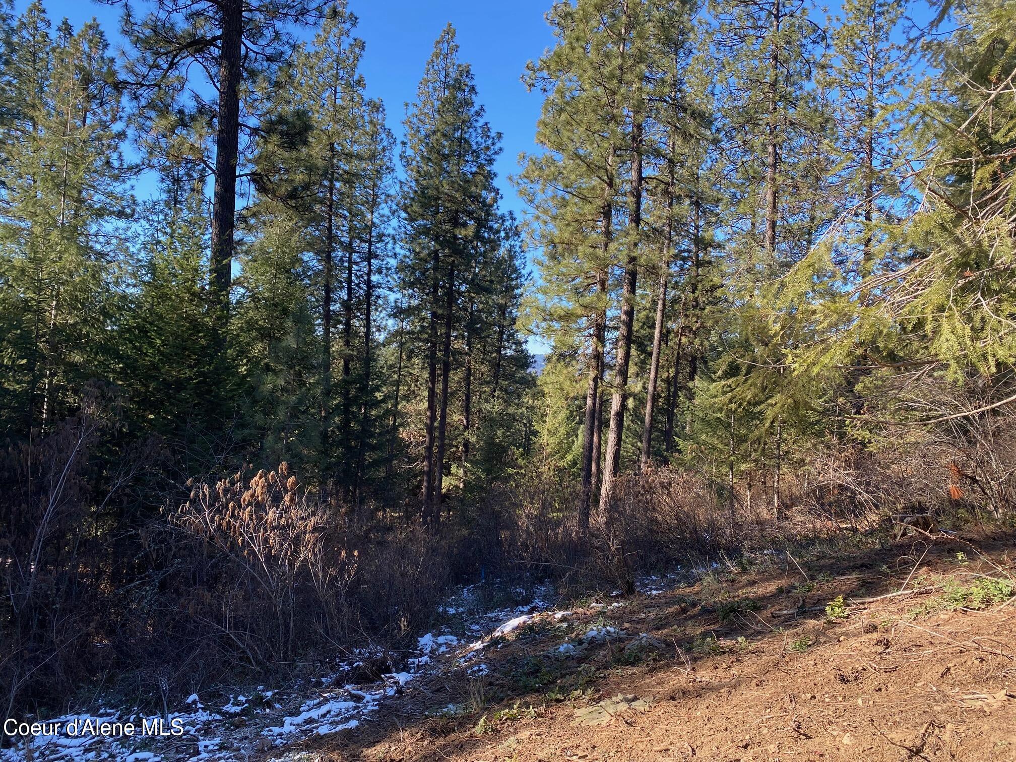 Nka South Edgewater Drive Harrison, ID 83833 - Photo 16 of 31 IMG_6914