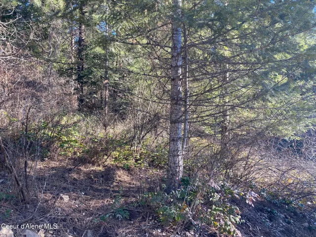 $109,000 | Nka South Edgewater Drive, Harrison, ID 83833