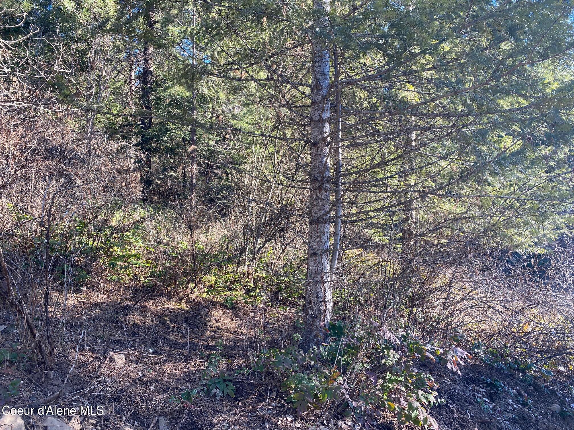 Nka South Edgewater Drive Harrison, ID 83833 - Photo 17 of 31 IMG_6915