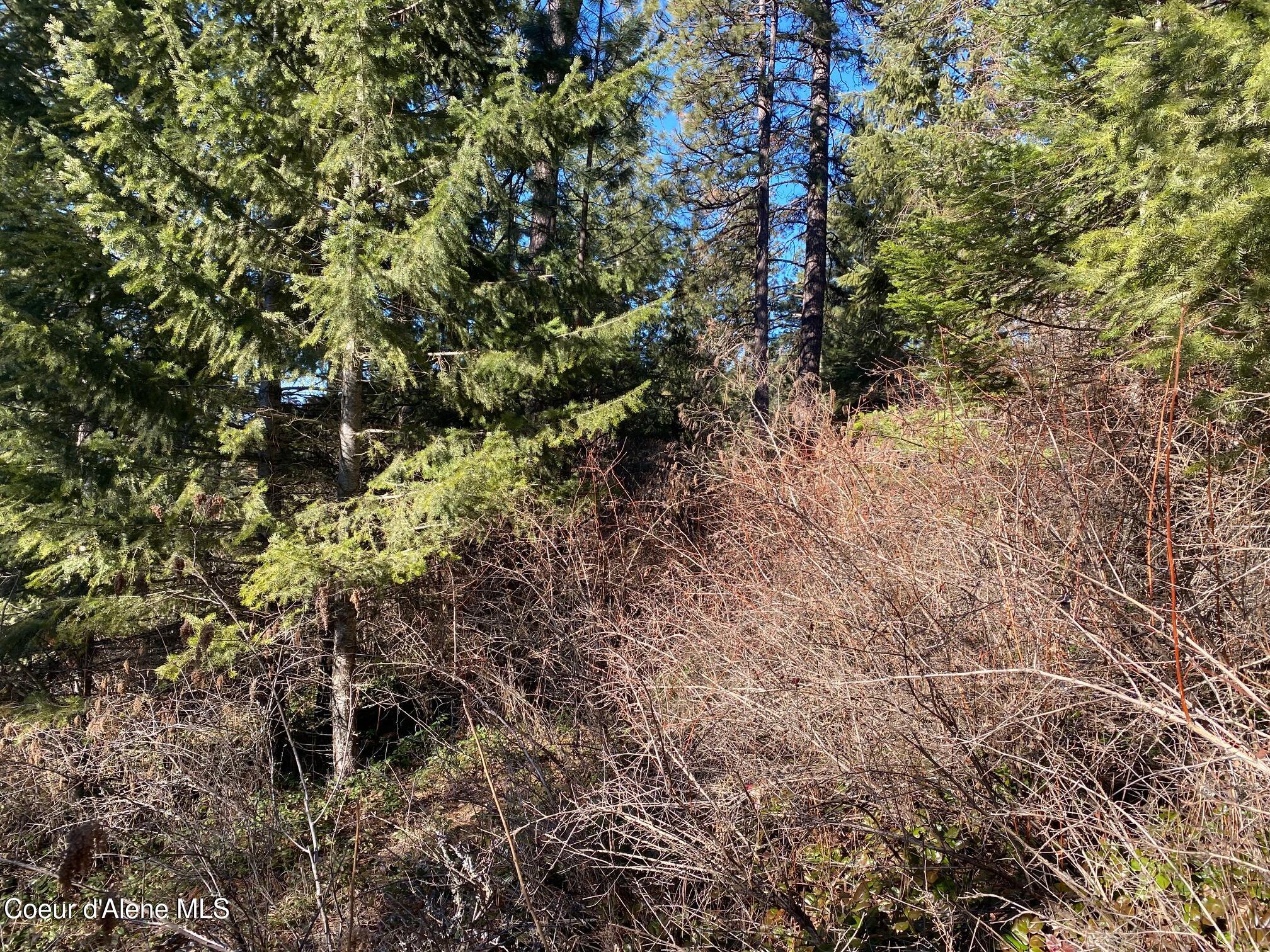 Nka South Edgewater Drive Harrison, ID 83833 - Photo 18 of 31 IMG_6917