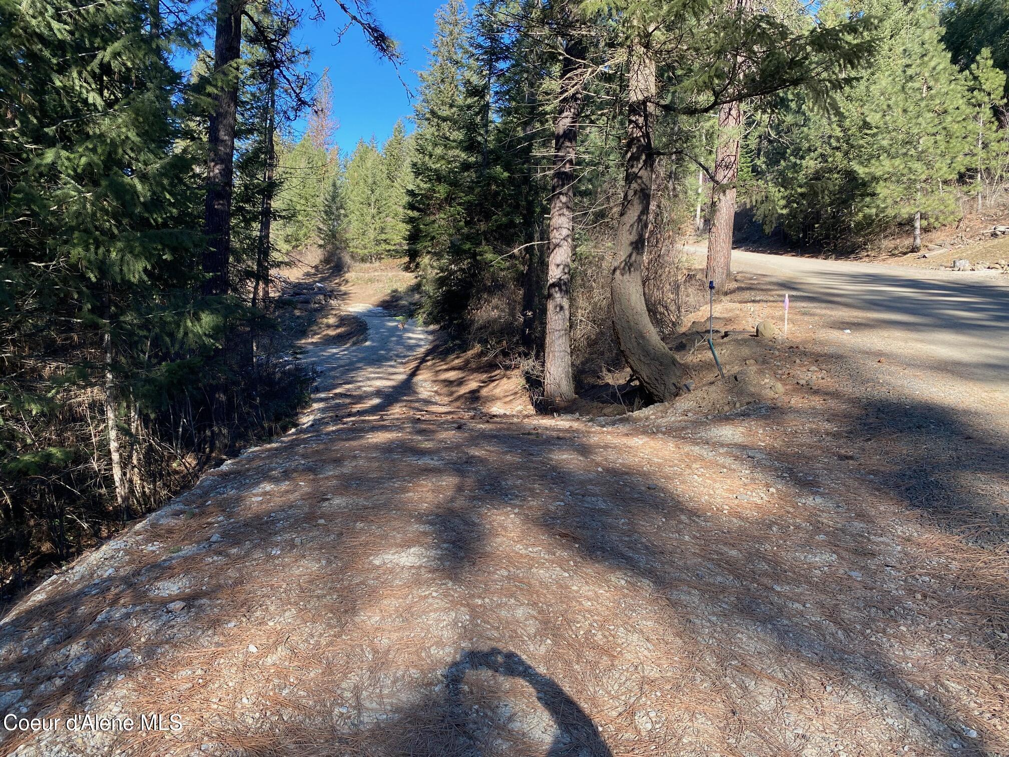 Nka South Edgewater Drive Harrison, ID 83833 - Photo 21 of 31 IMG_6921