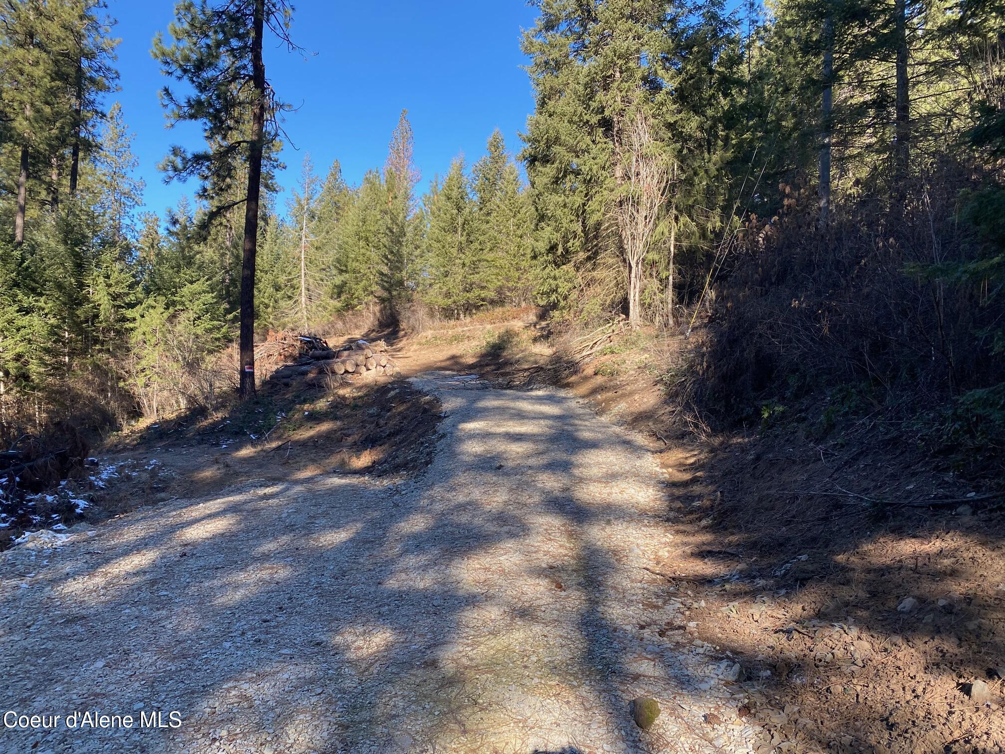 Nka South Edgewater Drive Harrison, ID 83833 - Photo 3 of 31 IMG_6898